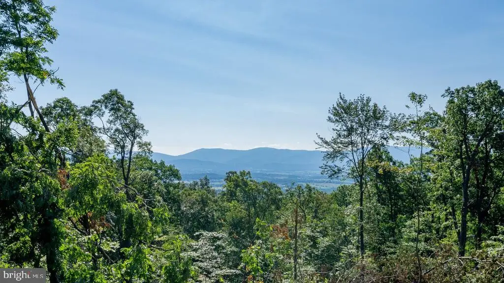 531 Forest Drive Ext, Luray, VA 22835 - #1