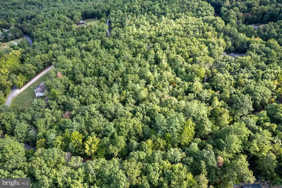 Holiday Hill Rd., Luray, VA 22835 - #3