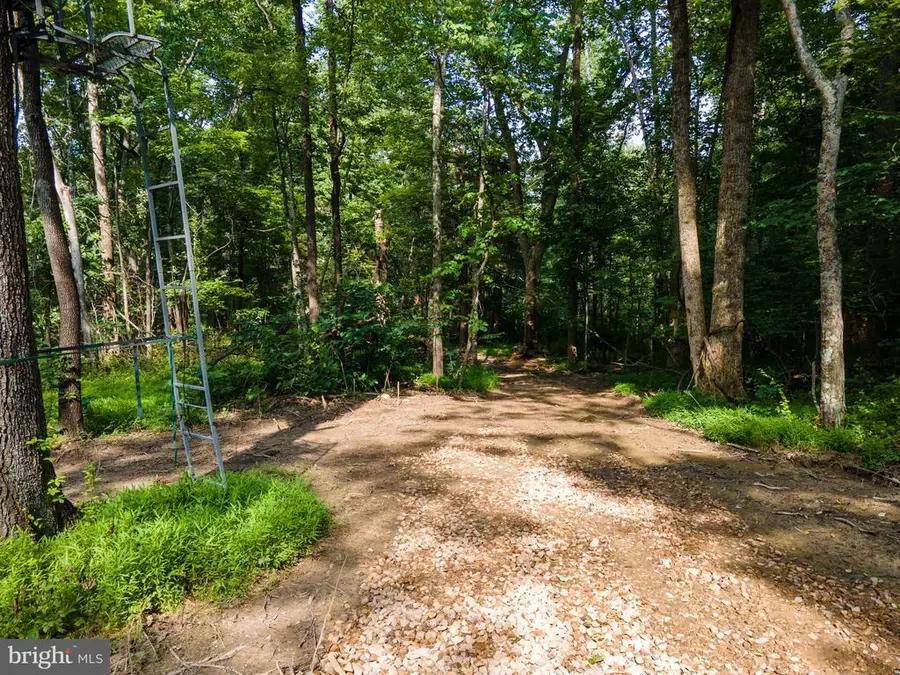 Us Hwy 340 S, Stanley, VA 22851 - #3
