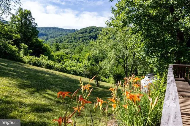 5855 Jollett Rd, Elkton, VA 22827 - #3
