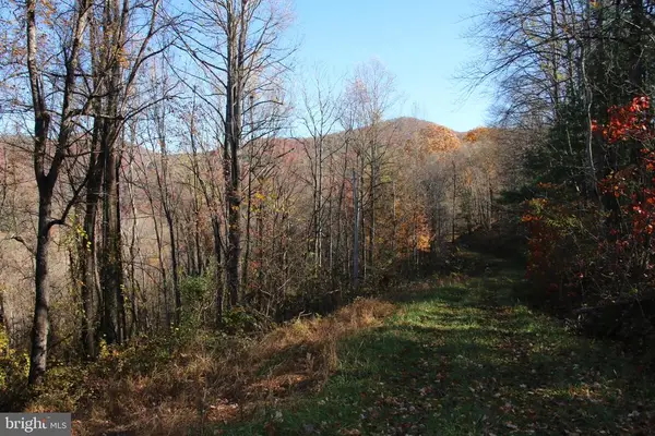 00 Overlook Mountain Rd, Elkton, VA 22827