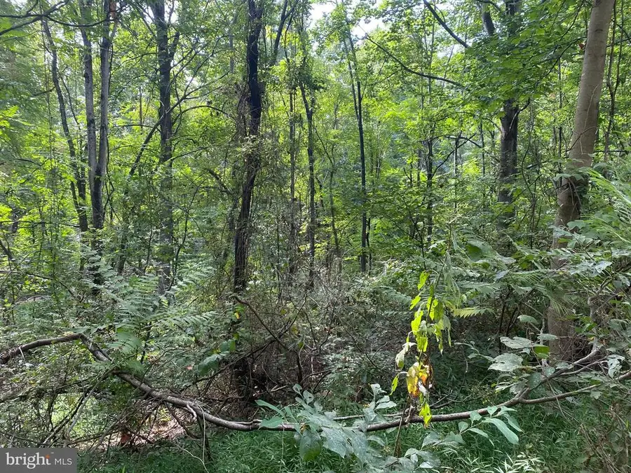 Jackson Lane, Boston, VA 22713 - Image #3