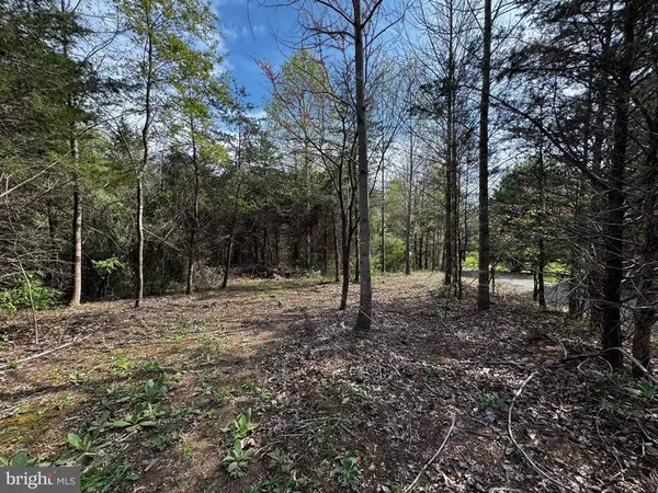 0 Castleton Ford, Castleton, VA 22716