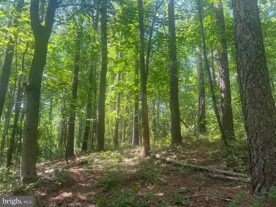 0 Thornton Gap Church Road, Sperryville, VA 22740 - #2