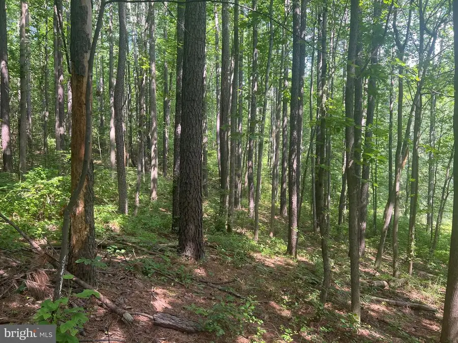 0 Thornton Gap Church Road, Sperryville, VA 22740 - #3