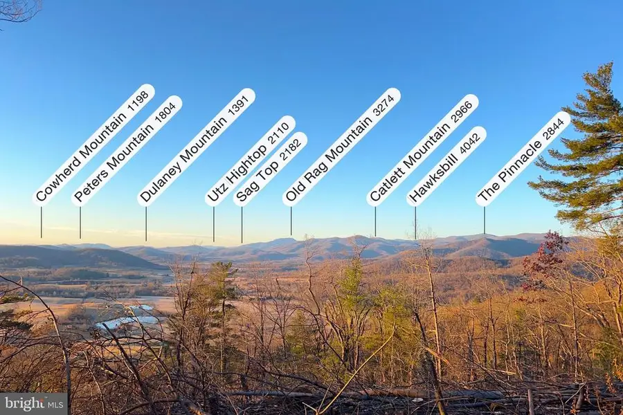 Rediviva Ln, Washington, VA  - Image #3