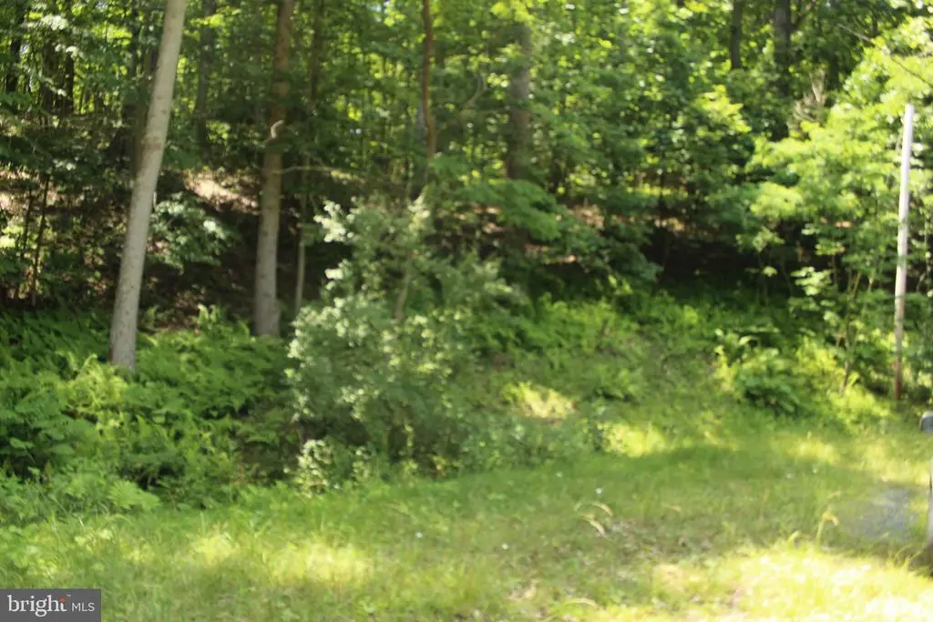 0 Nethers, Sperryville, VA 22740 - #1