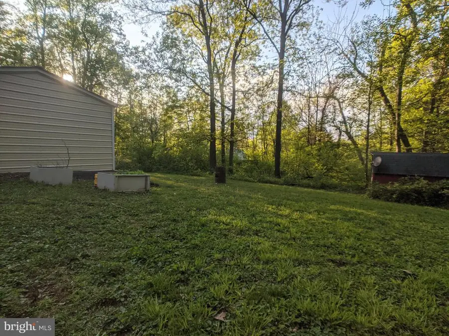 144 Hunter Ave, Chester Gap, VA 22623 - #3