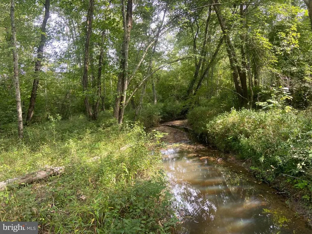 9323 Mill Pond Rd, Spotsylvania, VA 22551 - #1