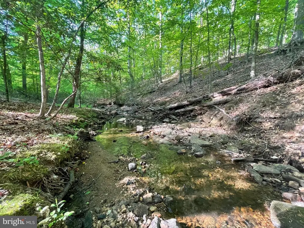 Deer Mountain Rd, Courtland, VA 22407 - #1