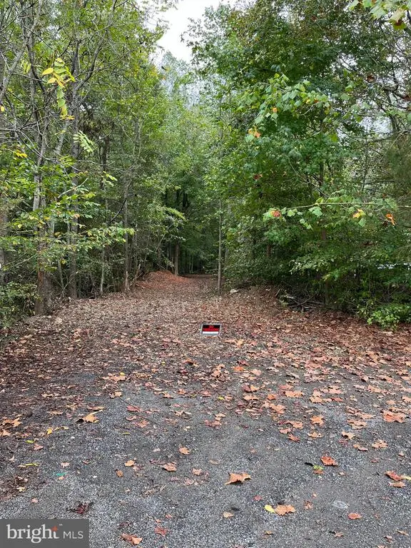 10820 Cloverdale St, Chancellor, VA 22407 - Image #1