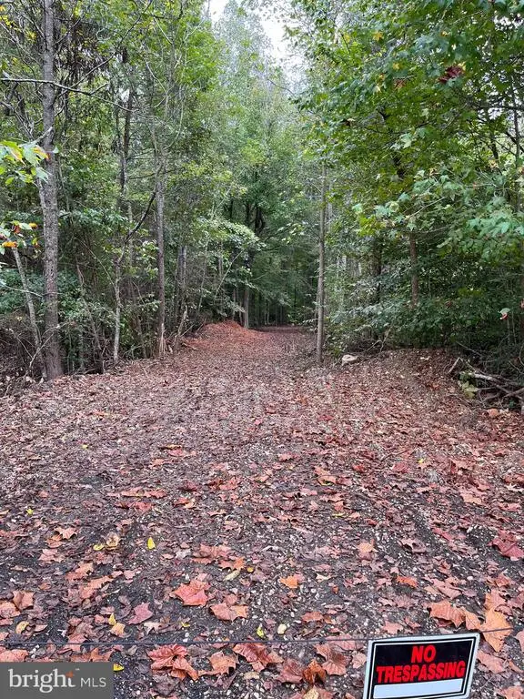 10820 Cloverdale St, Chancellor, VA 22407 - Image #2