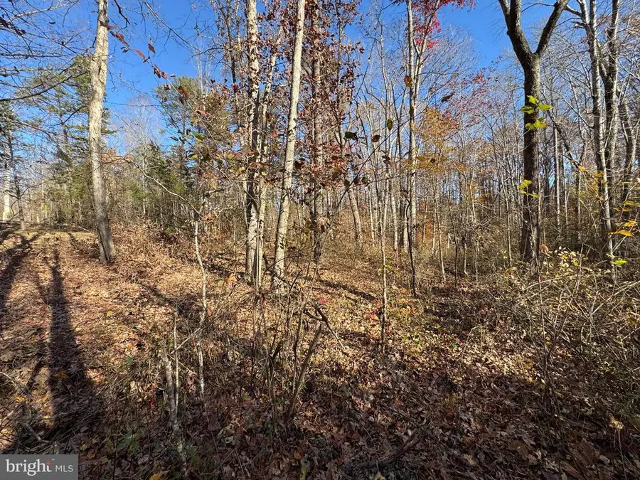 7128 Dominique Dr, Spotsylvania, VA 22551 - Image #3