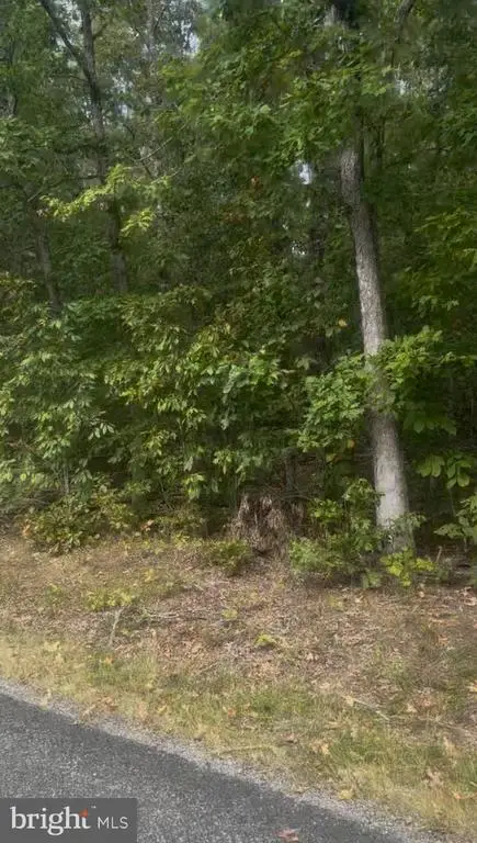 Log Cabin, Beaverdam, VA 23015 - #2