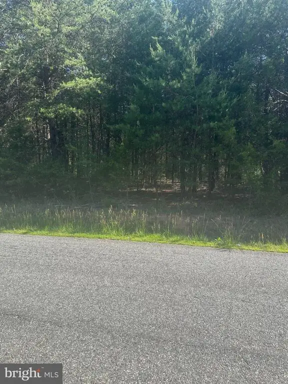 13615 Black Meadow Rd, Spotsylvania, VA 22553 - #3