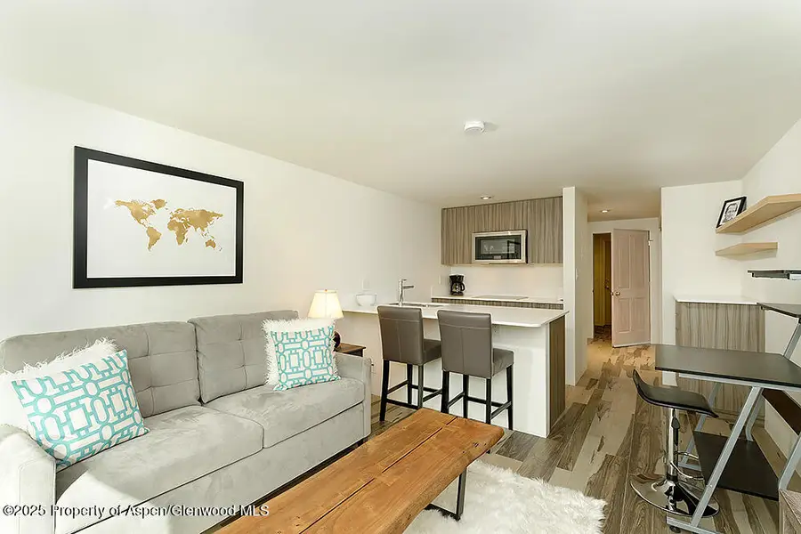 119 E Cooper Avenue #27, Aspen, CO 81611 - Image #2