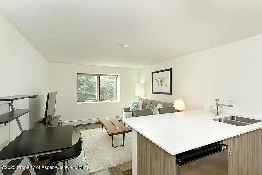 119 E Cooper Avenue #27, Aspen, CO 81611 - Image #3