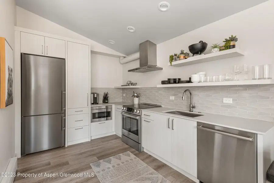 220 W Main Street #210/P1/B6, Aspen, CO 81611 - Image #2