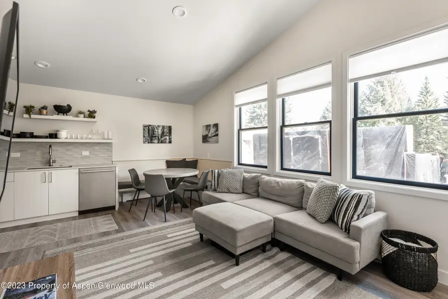 220 W Main Street #210/P1/B6, Aspen, CO 81611 - Image #3
