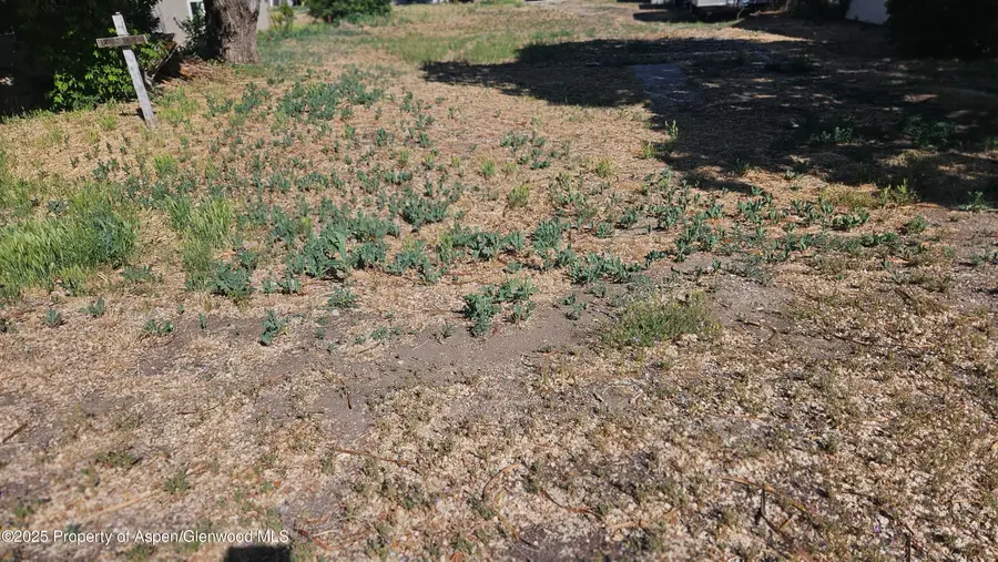 136 E 1st Street, Parachute, CO 81635 - #3