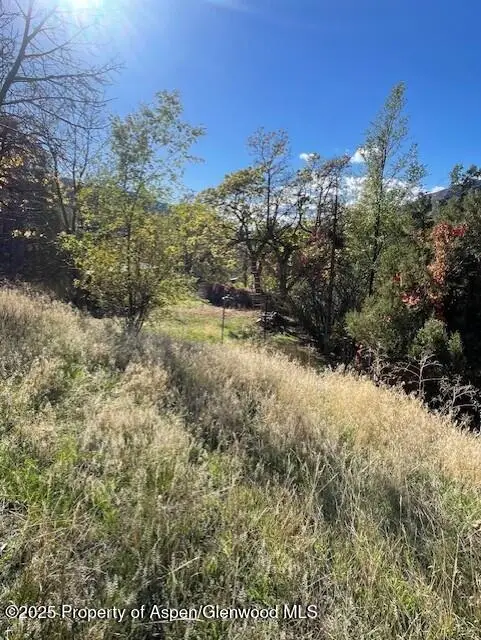 215 2nd Street, Glenwood Springs, CO 81601 - Image #3