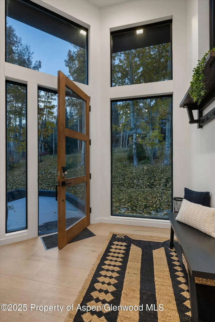 233 Stellar Lane, Snowmass Village, CO 81615 - Image #2