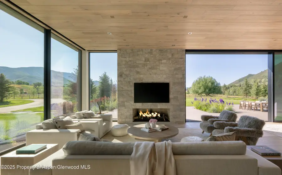 88 Clover Lane, Woody Creek, CO 81656 - Image #3