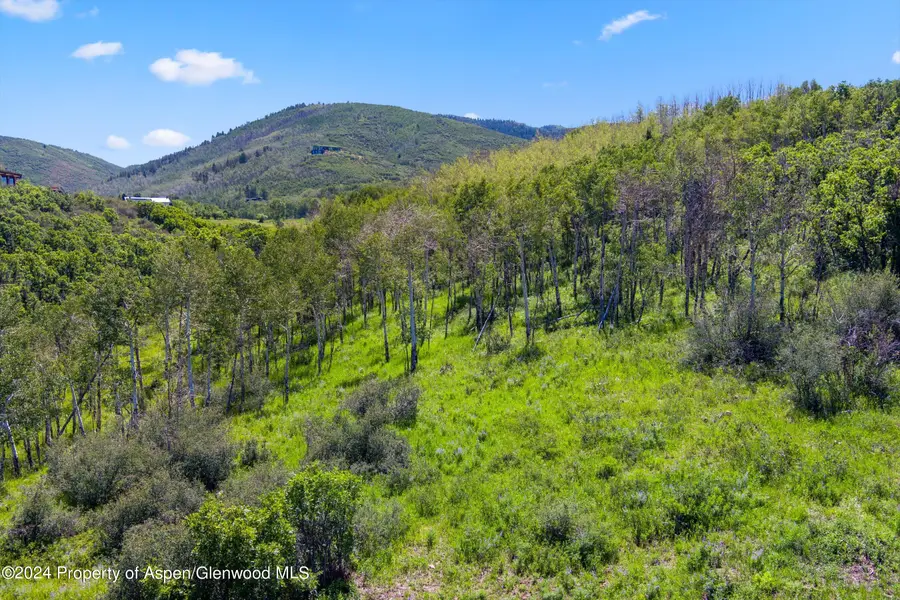TBD Trentaz Drive, Aspen, CO 81611 - Image #3