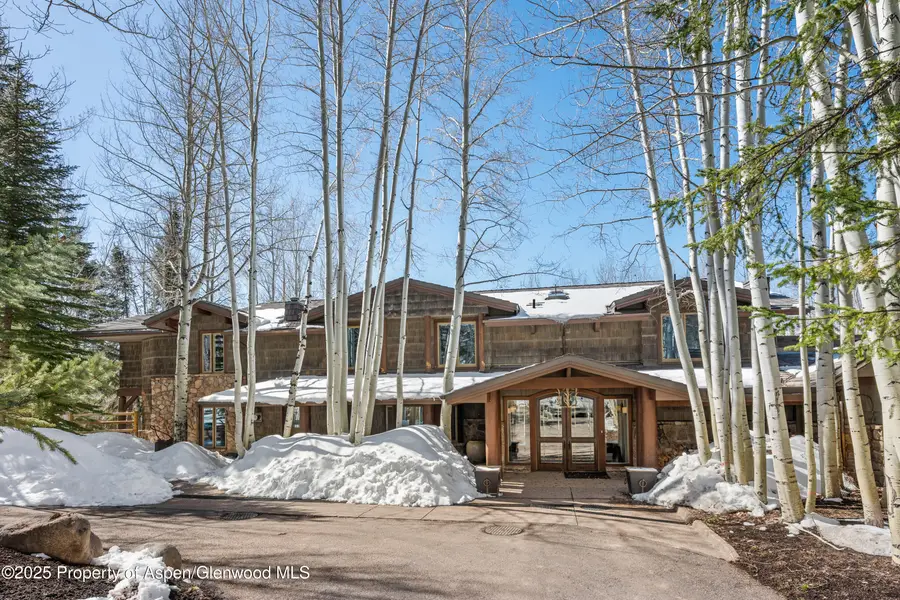 156 Eppley Drive, Aspen, CO 81611 - Image #2