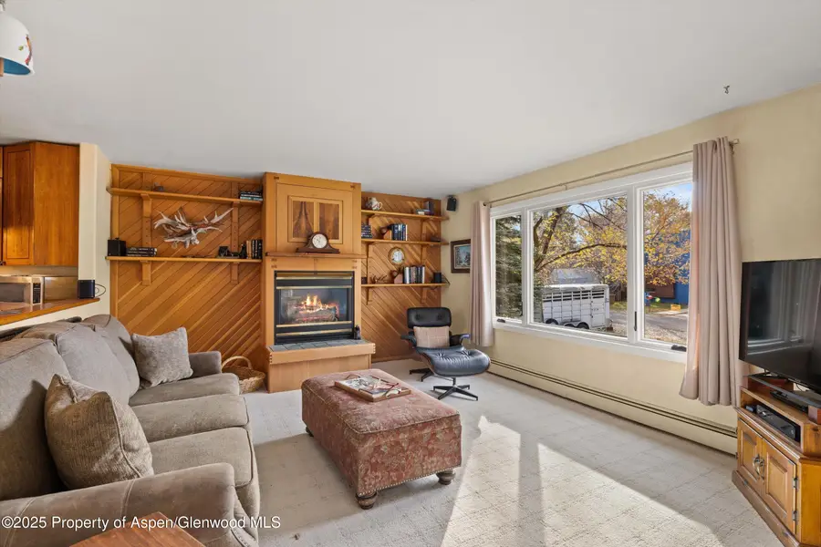 451 Euclid Avenue, Carbondale, CO 81623 - Image #3