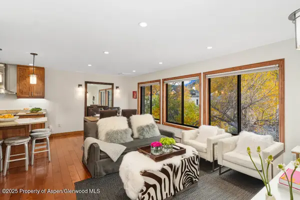 725 E Main Street #309, Aspen, CO 81611