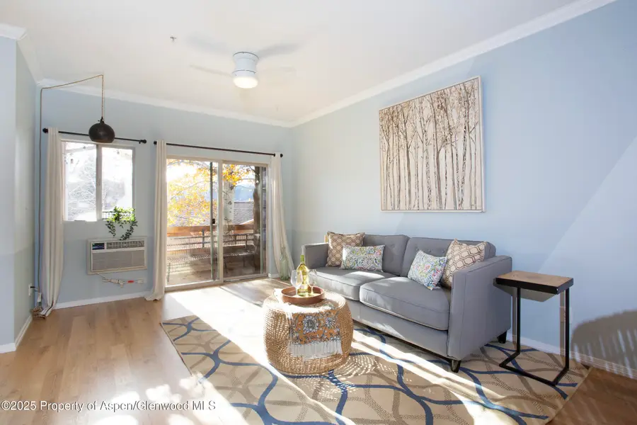 1400 E E Valley Road #212, Basalt, CO 81621 - Image #3