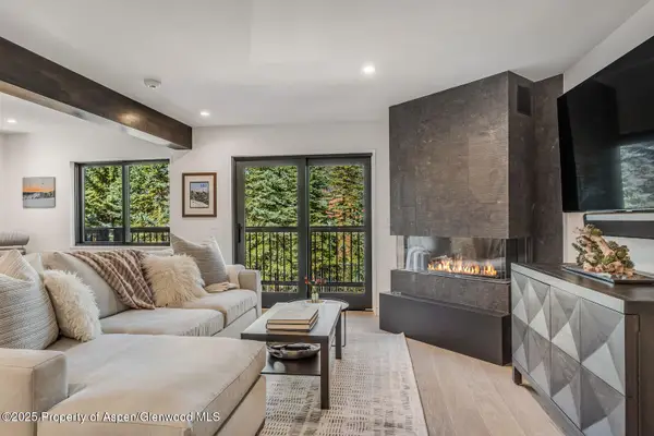 650 S Monarch Street #Unit 7, Aspen, CO 81611