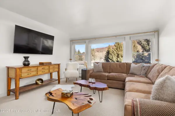 1041 Vine Street, Aspen, CO 81611