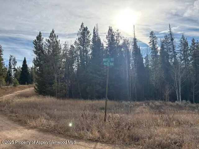 TBD Wiffle Tree Trail, Oak Creek, CO 80467 - Image #3