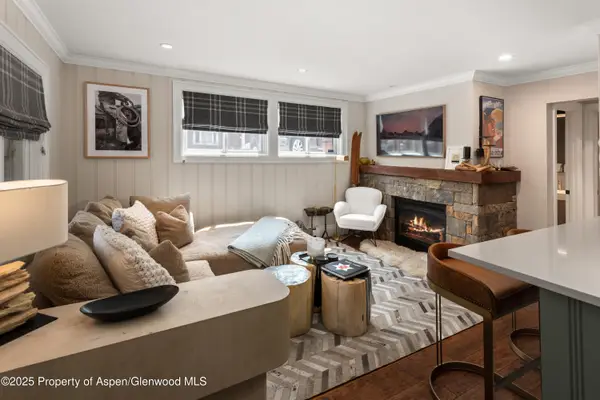 835 E Hyman Avenue #Unit D, Aspen, CO 81611