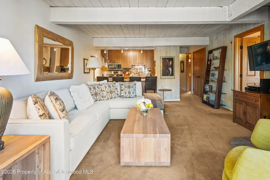 131 E Durant Avenue #202, Aspen, CO 81611 - #3