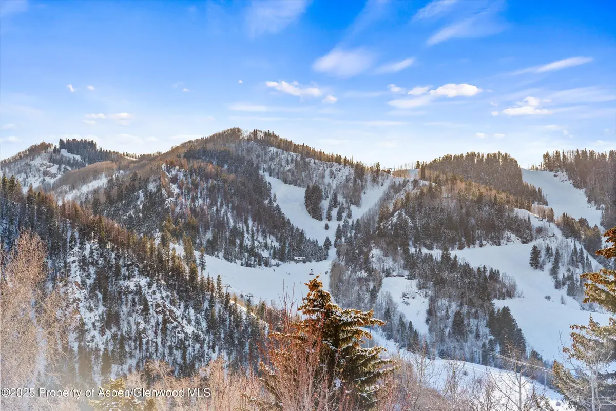 990 E Hopkins Avenue, Aspen, CO 81611 - #1