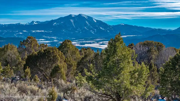 3029 Elk Springs Drive, Glenwood Springs, CO 81601