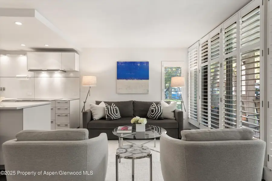 800 E Hopkins Avenue #A-3, Aspen, CO 81611 - Image #2