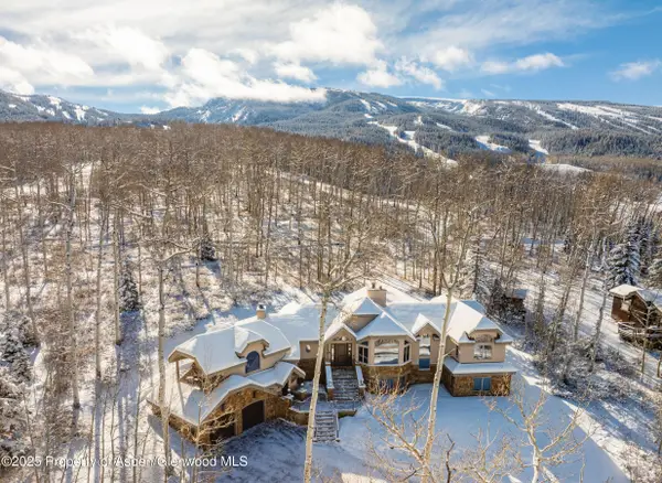 141 Baby Doe Lane, Snowmass Village, CO 81615