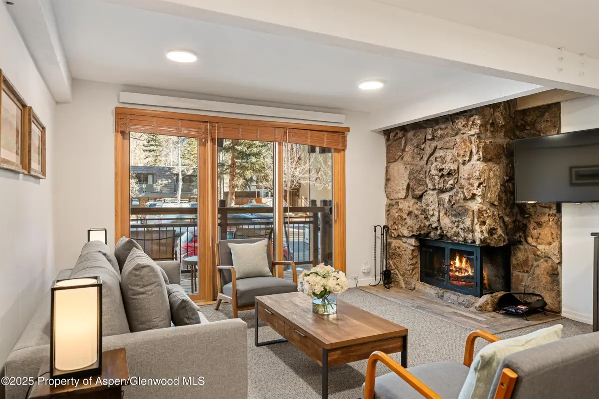 131 E Durant Avenue #104, Aspen, CO 81611 - Image #1