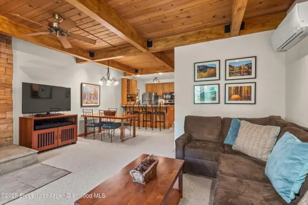 610 S West End Street #J204, Aspen, CO 81611