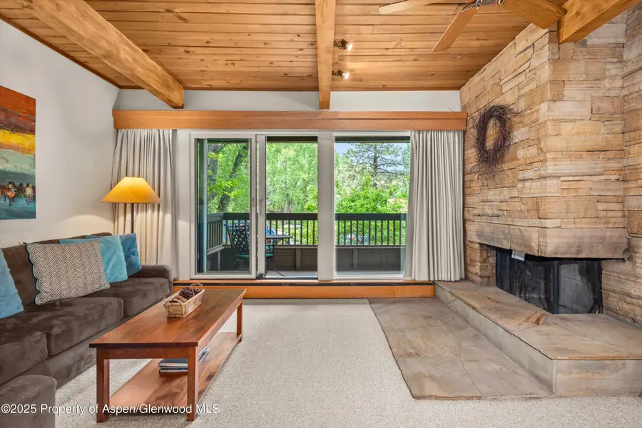610 S West End Street #J204, Aspen, CO 81611 - Image #2