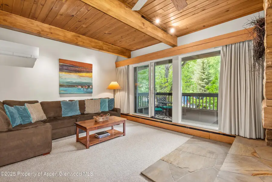 610 S West End Street #J204, Aspen, CO 81611 - Image #3