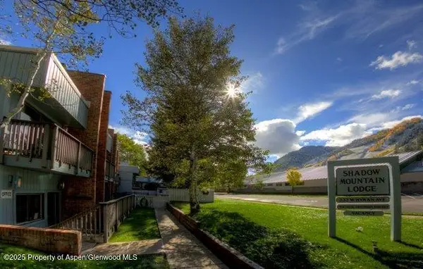 232 W Hyman Avenue #11 (wks. 4,8,39), Aspen, CO 81611