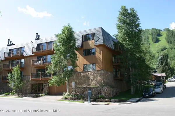 205 E Durant Avenue #1F, Aspen, CO 81611