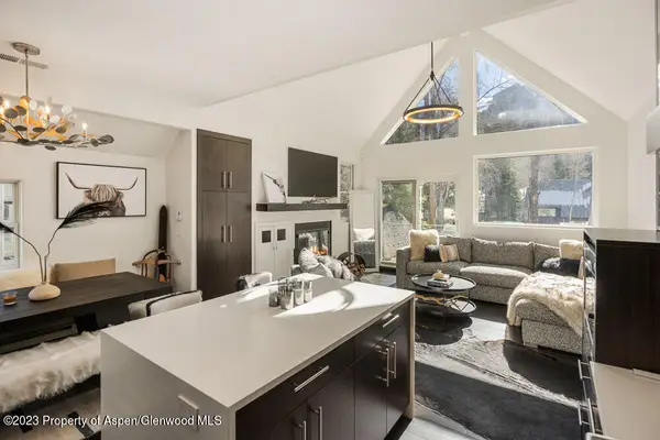 222 W Hopkins Avenue #6, Aspen, CO 81611