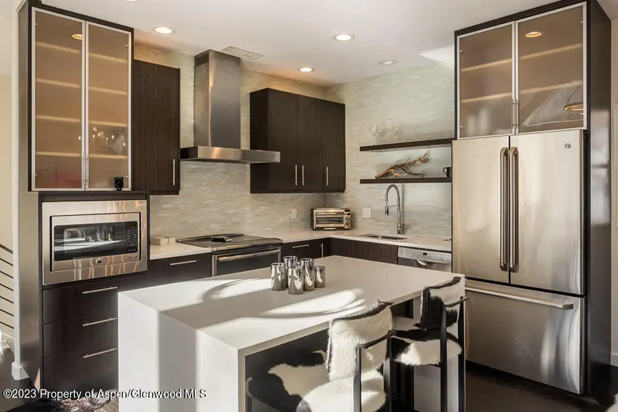 222 W Hopkins Avenue #6, Aspen, CO 81611 - Image #2