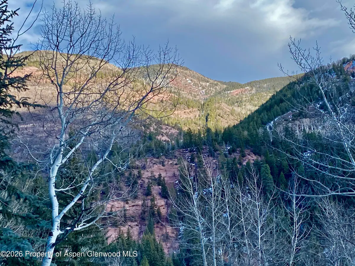 250 Elk Mountain Drive, Redstone, CO 81623 - #1